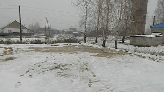 DSCN0611 смотреть онлайн