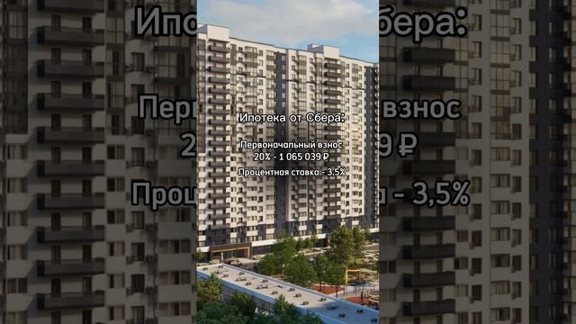 Как купить квартиру квартиру в Краснодаре за 19 000 руб в месяц? #недвижимостьвкраснодаре смотреть онлайн