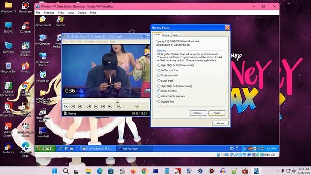 Windows XP BSOD 1856 (2023) смотреть онлайн