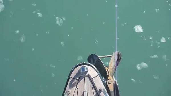 Jongert ´Charisma Nova´ Spitzbergen 2015