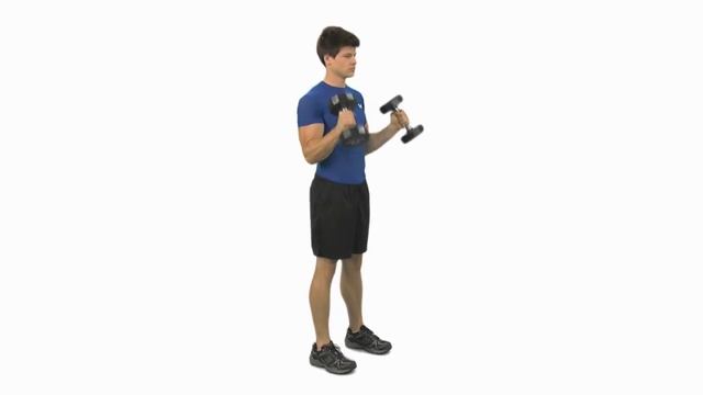 How to do a Dumbbell Hammer Curl смотреть онлайн