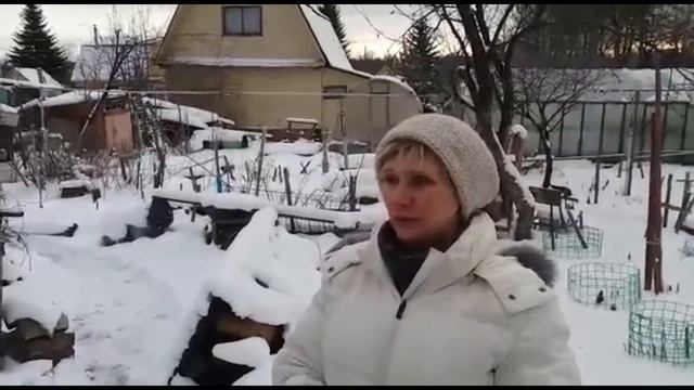 Отзыв Мичуринский 08 12 2018