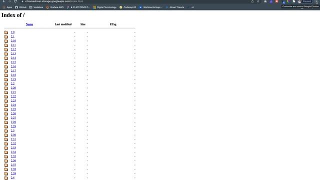 Install chrome driver смотреть онлайн