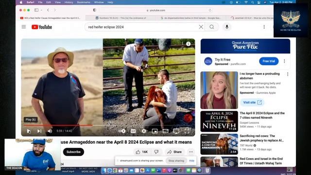 Israelites Explain Why One RED COW could start WORLD WAR 3 смотреть онлайн