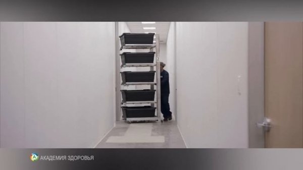 Насекомых добавляют в еду без вашего ведома. Вредно это или нет?