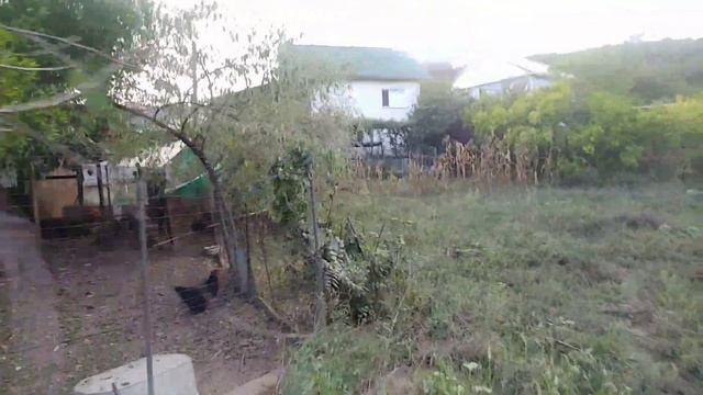 ровный участок в Центральном р-не Сочи/хорошая дорога/п.Барановка смотреть онлайн