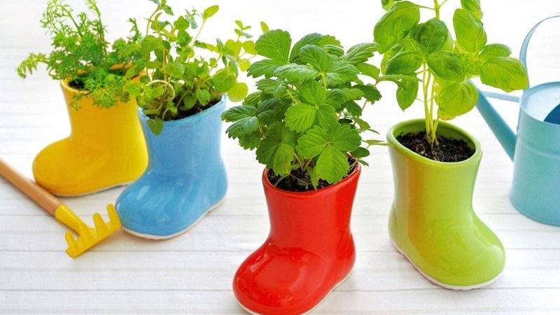 Обзор моей рассады 2023 г. смотреть онлайн