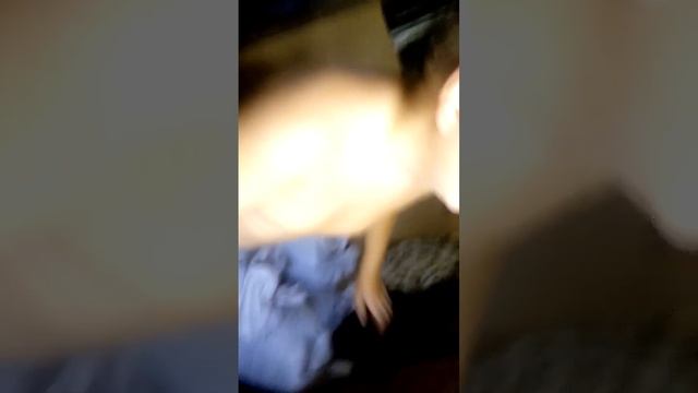 Строим штаб квартиру часть 2 смотреть онлайн