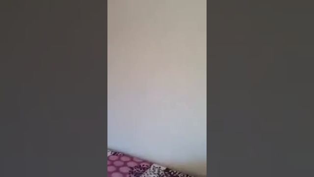 кухня и один из номеров второго этажа Гостевого дома "Гавань" в Сочи смотреть онлайн