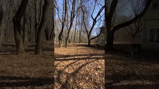 Где то в Подмосковье