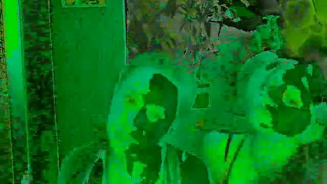 Зелёное видео) смотреть онлайн