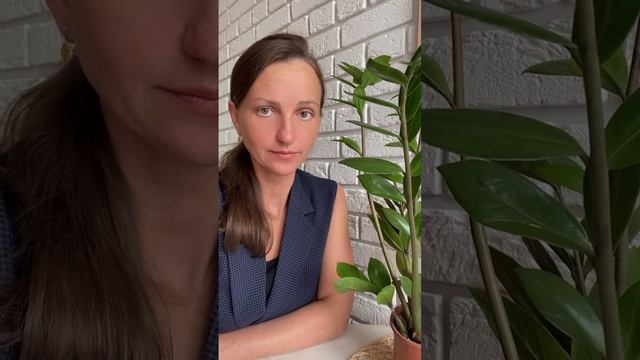 ⚡️Поддельные доверенность или паспорт, как одна из схем мошенничества при покупке квартиры! #сделки смотреть онлайн