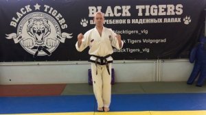 Программа аттестации на зеленый пояс с синей полоской