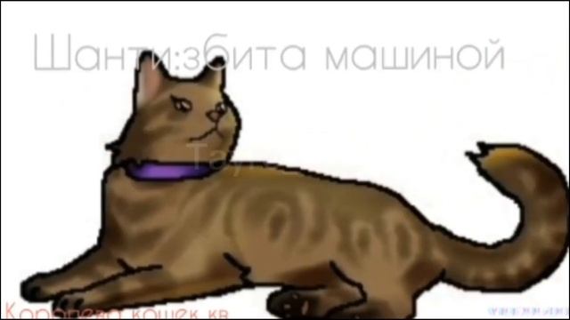 Всем привет! сегодня обзор канал Королева кошек КВ! смотреть онлайн