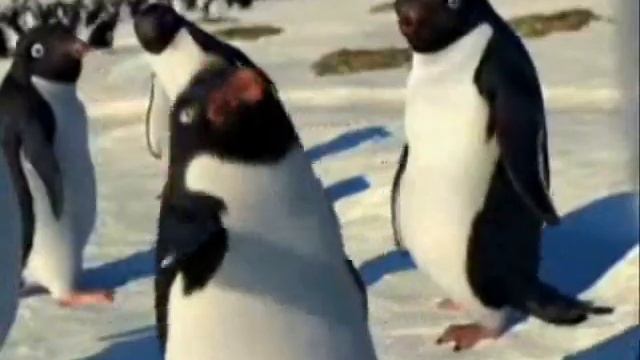 Charisma смотреть онлайн