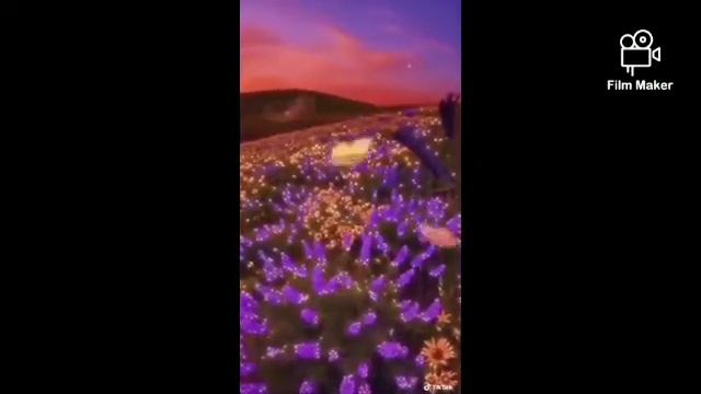 Это видео про эстетику эстетику и эстетику