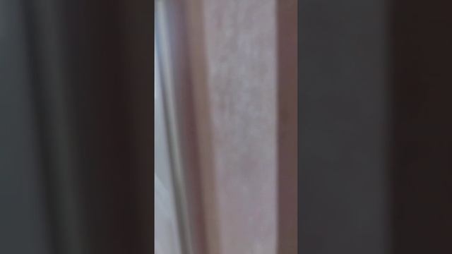 21/27 Замелекесье 7этаж квартира пустая смотреть онлайн