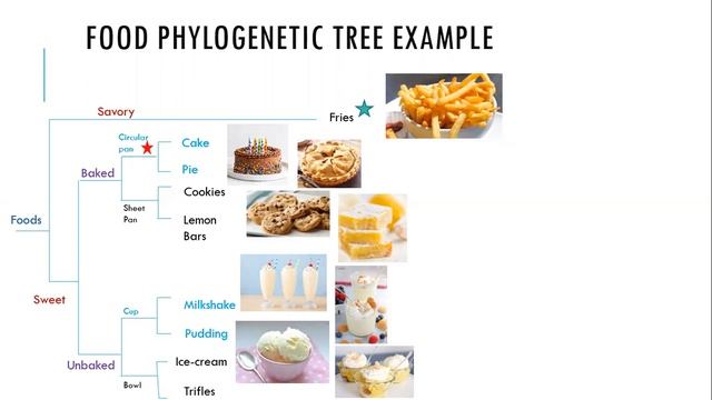 Phylogenetic Trees GN 311 5-1A смотреть онлайн