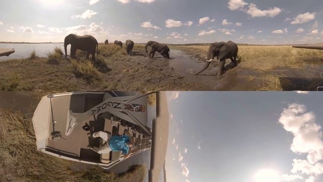 360 VR Video of Ngoma Safari Lodges - Africa Albida Tourism, Botswana смотреть онлайн