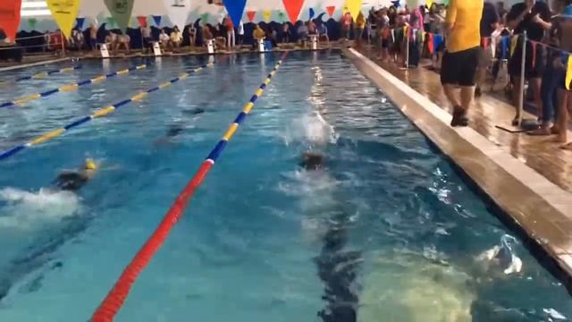 Swimming Fal Compound