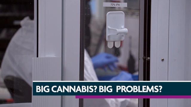 New York's Budding Cannabis Industry смотреть онлайн