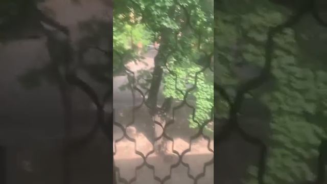 2х-этажное здание возле парка Шевченко смотреть онлайн