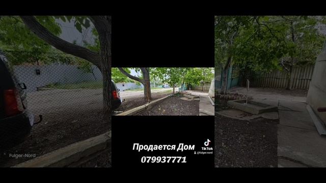 Агентство недвижимости Fulger-Nord 079937771 Профессиональные услуги по продаже Недвижимости.