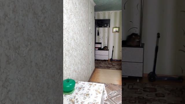 21 июня 2024 г. смотреть онлайн