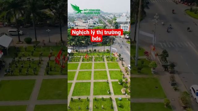 Nghịch lý thị trường bất động sản việt nam #datnenquangngai #kiembdsquangngai смотреть онлайн
