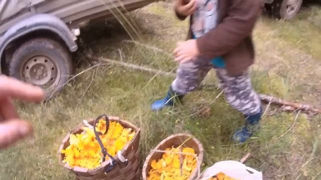 ЛИСИЧКИ захватят нашу ПЛАНЕТУ!!! смотреть онлайн