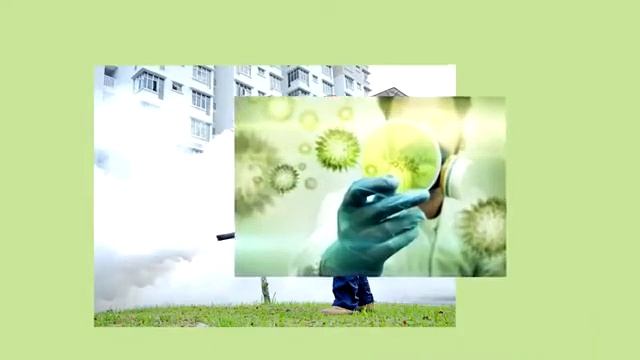 Дезинсекция, дезинфекция, дератизация и демеркуризация в городе Калуге смотреть онлайн