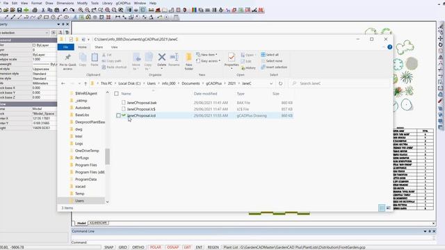 Protecting your store of CAD Designs when using landscape design software смотреть онлайн