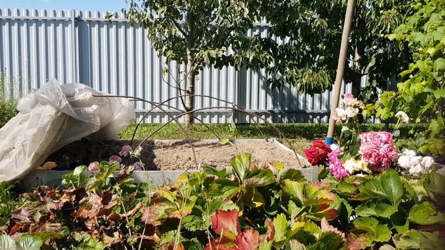 Минская свадьба. Подготовка (часть 3) смотреть онлайн