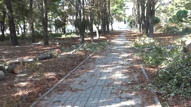 Застройщик в Авиагородоке спилил деревья  Батайск 2019