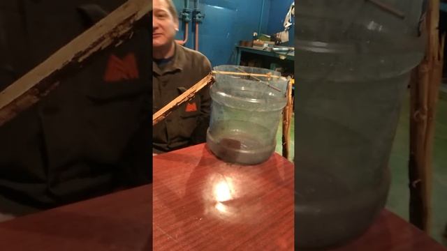 Итог борьбы с мышами... смотреть онлайн