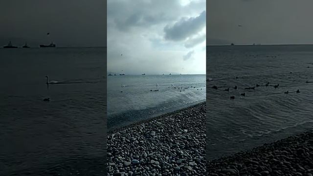 Новороссийск 2018 смотреть онлайн