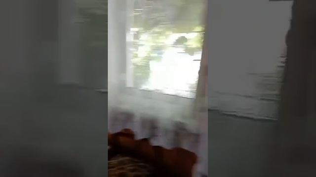 Колхозная смотреть онлайн