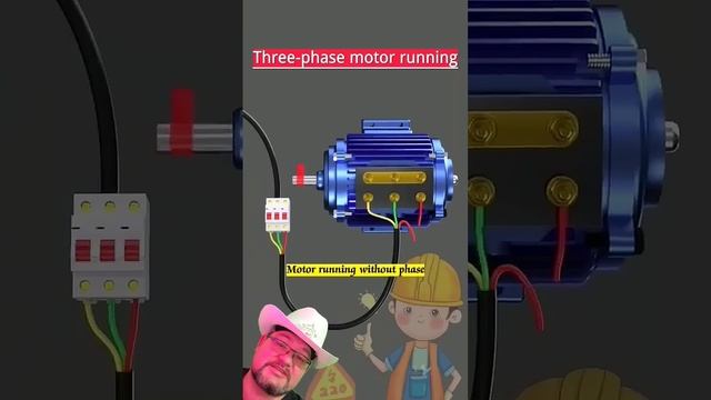Что произойдет если оборвать фазу? #electrical #энерголикбез смотреть онлайн