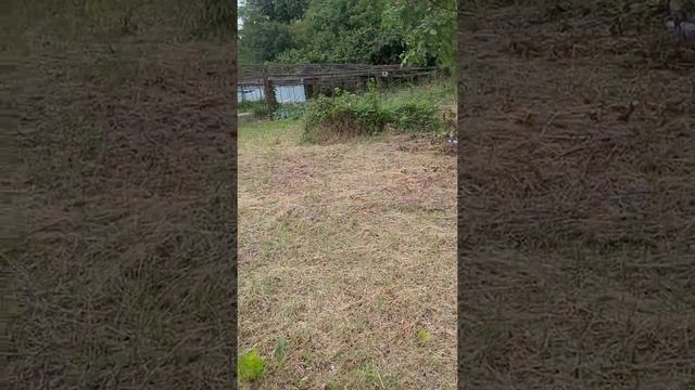 Земля в краснодарском крае смотреть онлайн