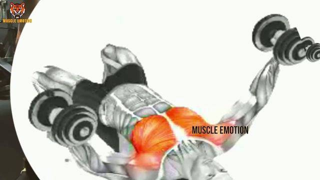 20 BEST CHEST EXERCISES WITH DUMBELLS BARBELL AND CABLE смотреть онлайн