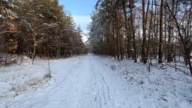 iPhone 13 Pro Raw Footage standard lens Handheld смотреть онлайн