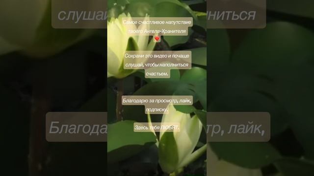 Самое счастливое напутствие твоего Ангела. #высокие_вибрации #осознанность #посланиеангелов смотреть онлайн