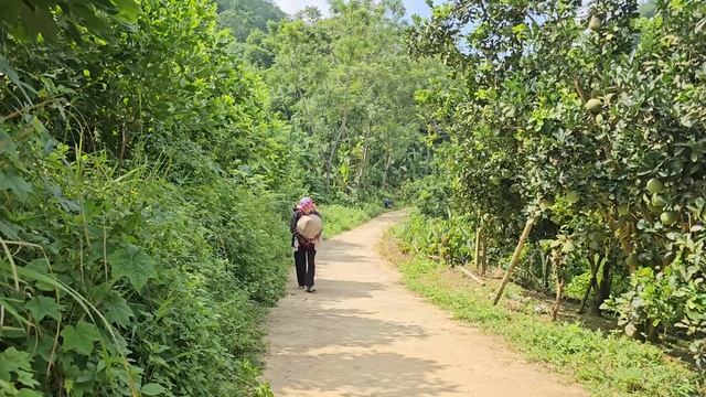 Remembering The Kindness Of The Single Mother Landlord Who Stopped By The House. Ly Vy Ca