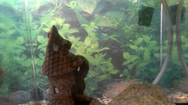 Выгоды .Мораль смотреть онлайн