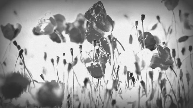 цветочная поляна