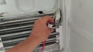 Холодильник HOTPOINT ARISTON ноу фрост не включается