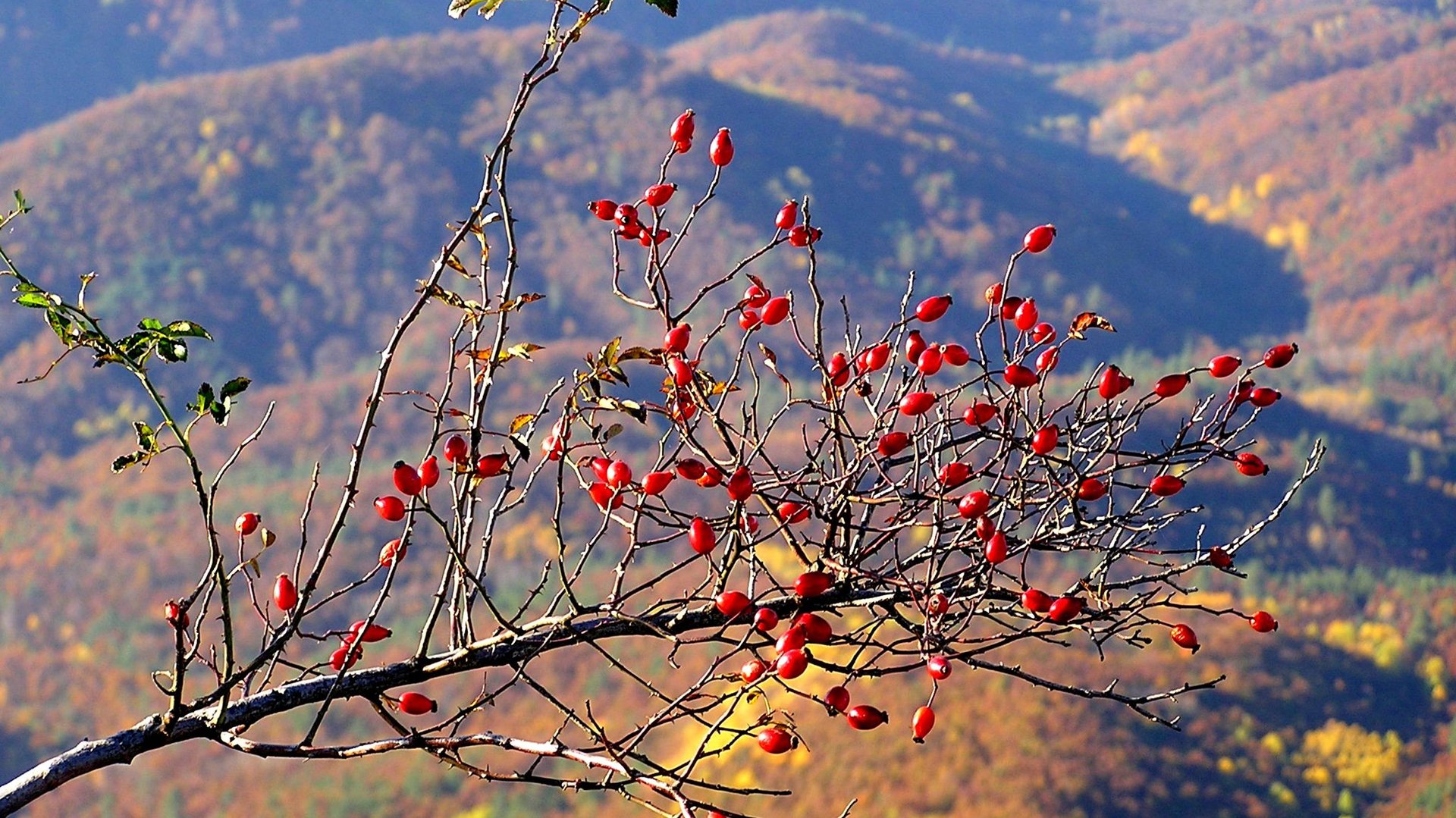 ЕДЕМ НА ХРЕБЕТ ДУ-ДУ-ГУШ.