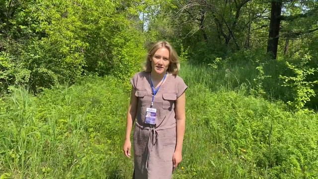 3 ндфл Евгения Жимоедова, г.Копейск пр. Победы 2 смотреть онлайн