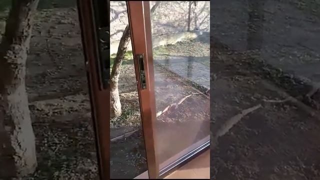 Остекление вашего дома или квартиры в Симферополе или Крыму - раздвижные системы смотреть онлайн
