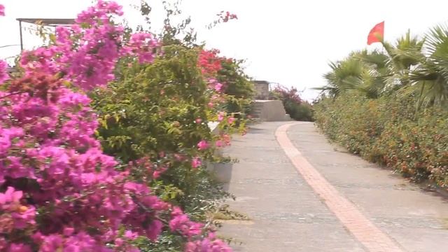 Utopia World Hotel 5*